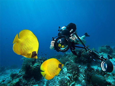 Scuba Diving Trips